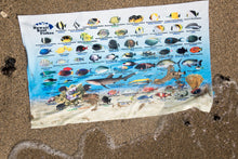 Load image into Gallery viewer, Hawaii Reef Fish Identification Microfiber Travel / Sport Towel